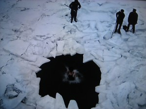 icehole2014